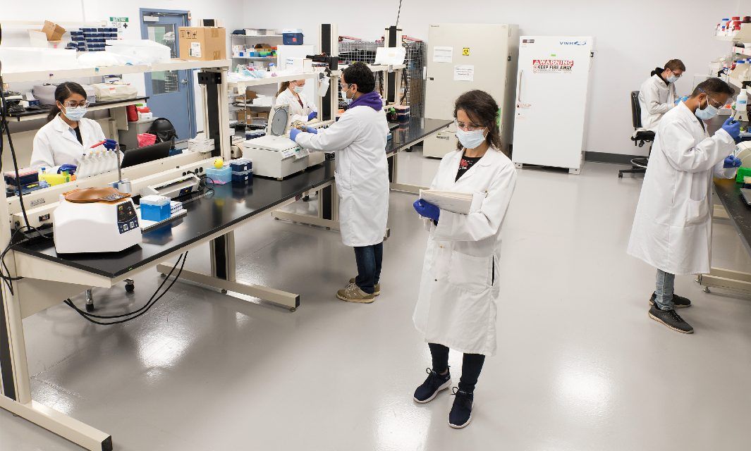 6 scientists in a lab performing various experiments